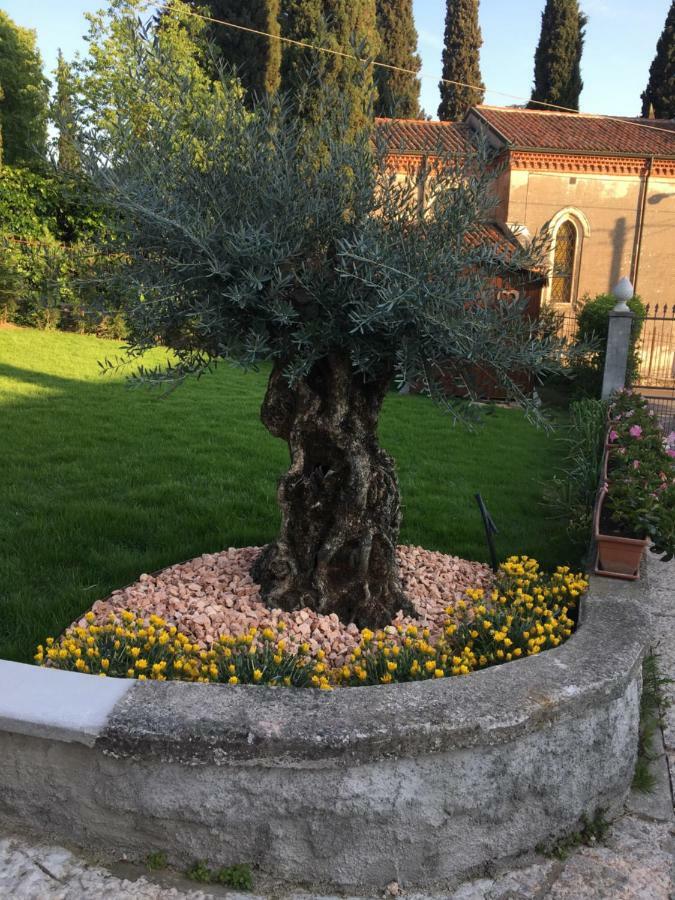B&B Castel Montorio 베로나 외부 사진