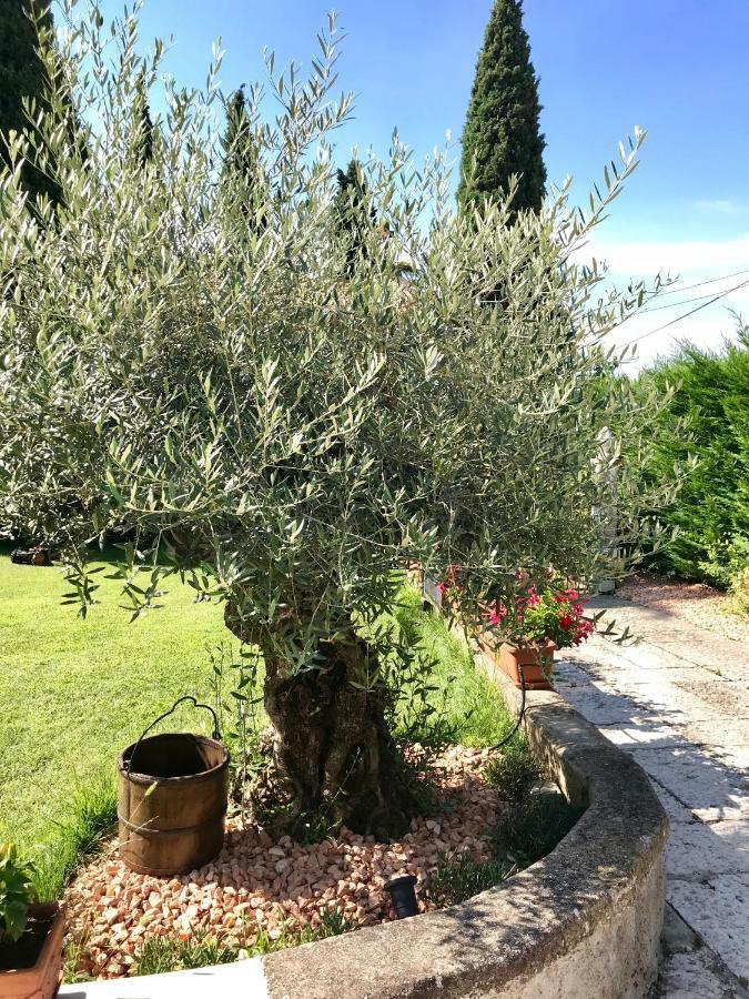 B&B Castel Montorio 베로나 외부 사진